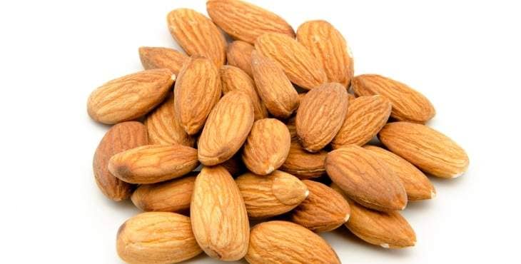 Are Almonds Good For You To Lose Weight