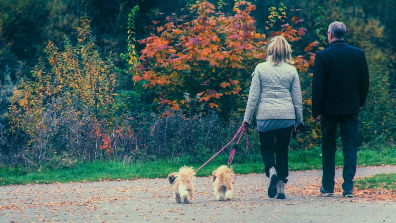 walking the dog to lose weight