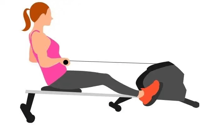 Rowing Machine for Exercise for Weight Loss