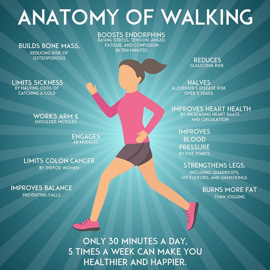 infographic listing the benefits of walking an hour a day